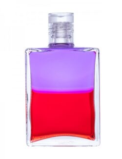 Aura-Soma® Equilibrium B065 "Den Kopf im Himmel und die Füße auf der Erde"