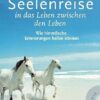 Seelenreise in das Leben zwischen den Leben