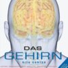 Das Gehirn