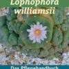 Peyote - Lophophora williamsii