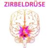 Wunderwerk Zirbeldrüse