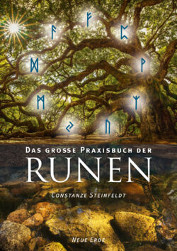 Das grosse Praxisbuch der Runen