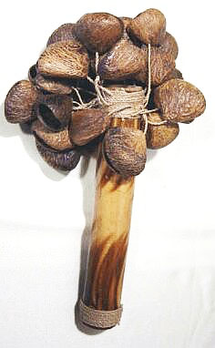 Rassel mit Samenkapseln