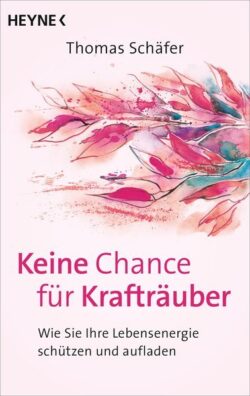 Keine Chance für Krafträuber TB