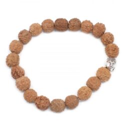 Rudraksha Buddha Bangle Mala Natürlich