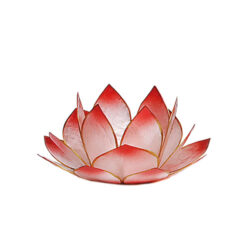 Lotus Sonnenaufgang Capiz rosé