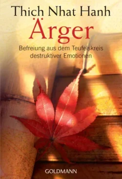 Ärger TB