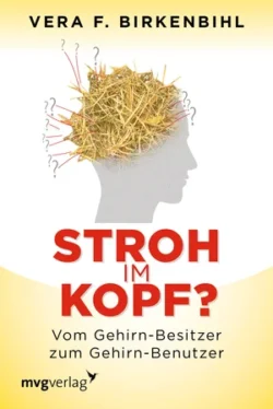 Stroh im Kopf