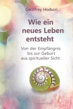 Wie ein neues Leben entsteht