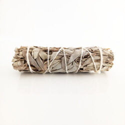 Weißer Salbei gebunden ca.10cm Smudge Stick