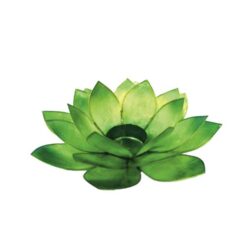 Lotus Licht Sommersonne Capiz grasgrun