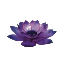 Lotus Licht Sommersonne Capiz violett
