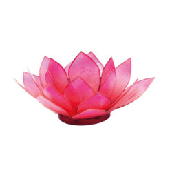 Lotus Licht sommersonne Capiz coralpink