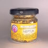 NEPTUN NEPTUN