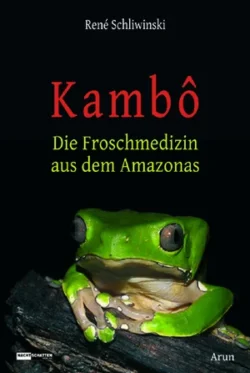 Kambo Die Froschmedizin aus dem Amazonas